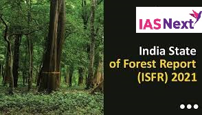 Image Not Found